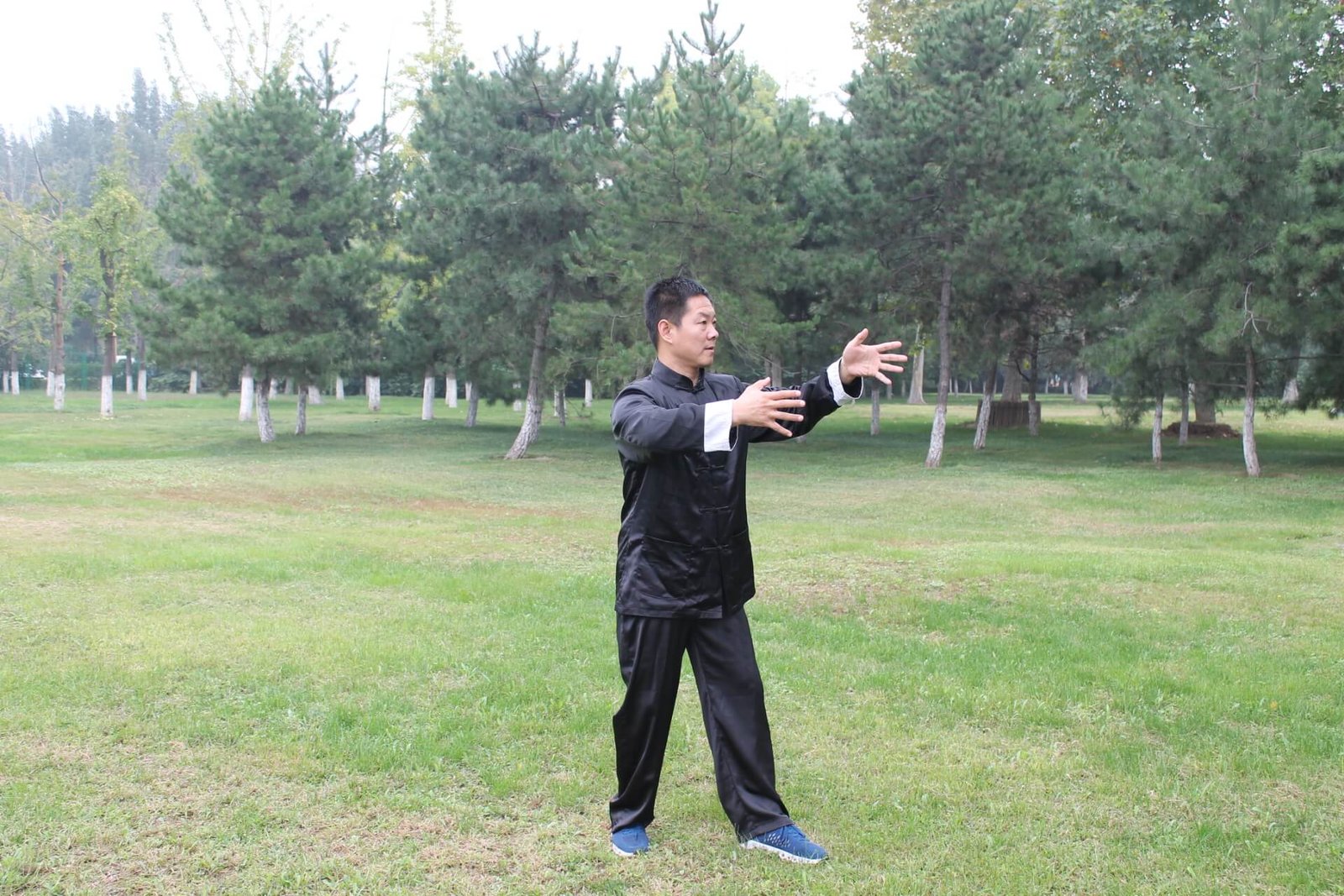 Zhang Yongmou - Yiquan Park's Living Master 2 yiquan zhanzhuang combat stance zhang yongmou