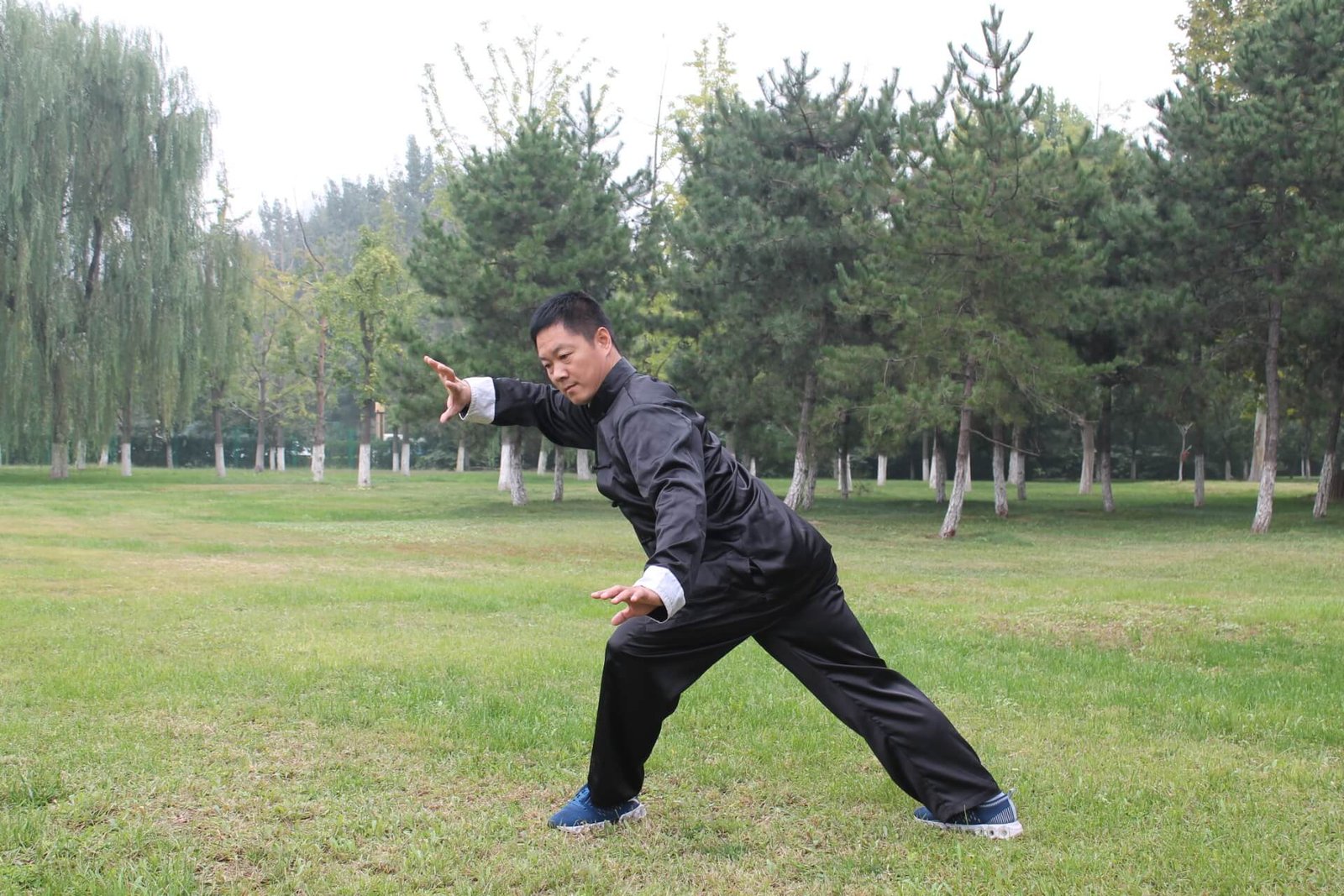 Zhang Yongmou - Yiquan Park's Living Master 6 yiquan zhanzhuang dragon stance zhang yongmou