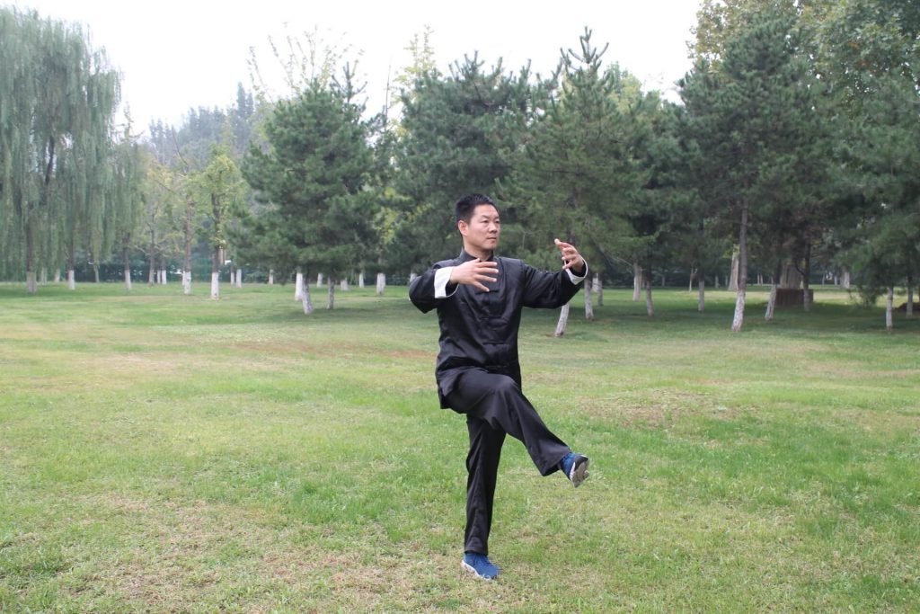 yiquan zhanzhuang one legged stance zhang yongmou