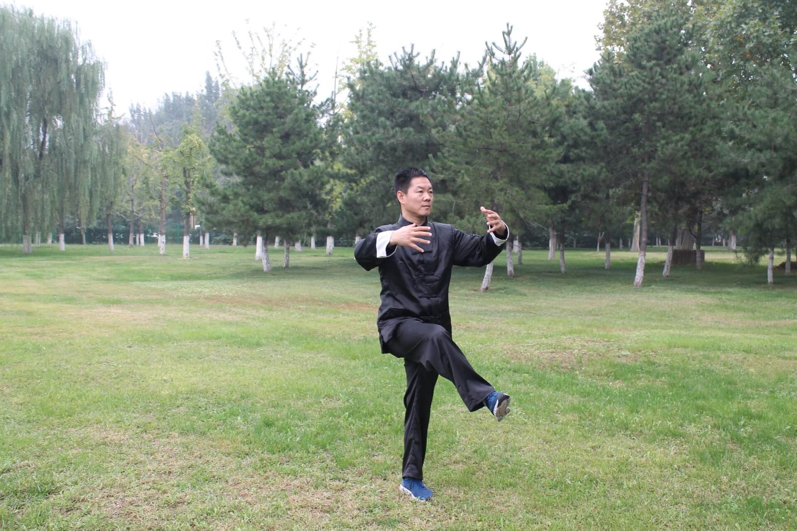 Zhang Yongmou - Yiquan Park's Living Master 3 yiquan zhanzhuang one legged stance zhang yongmou