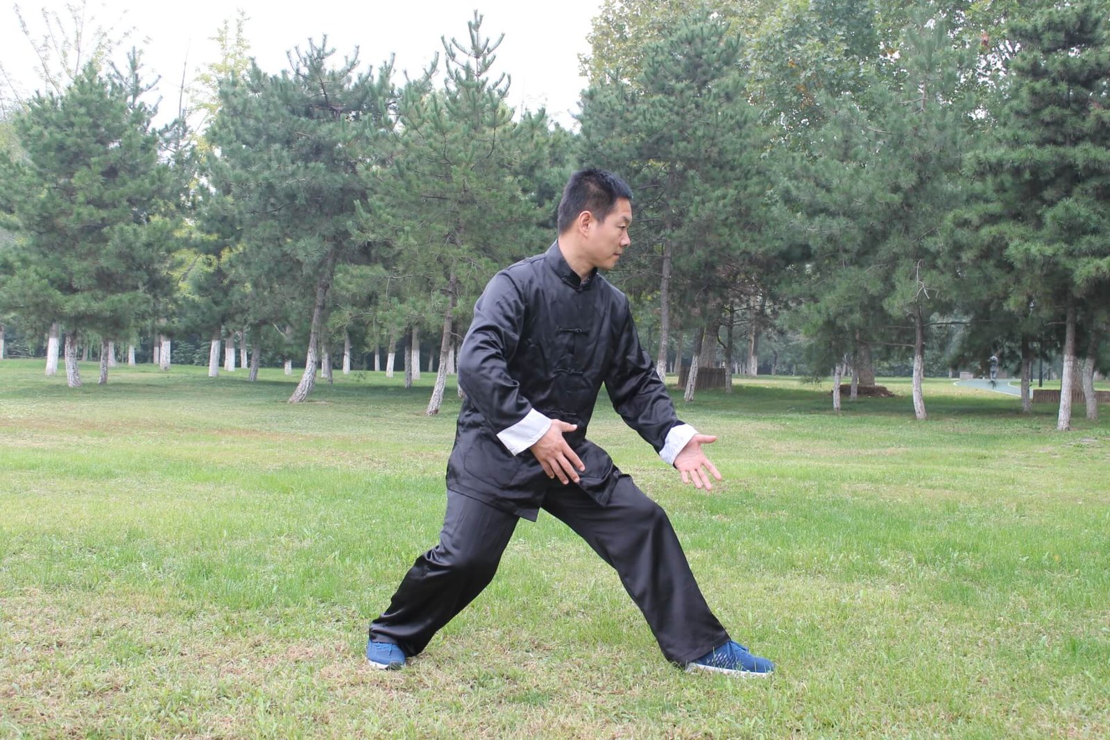Zhang Yongmou - Yiquan Park's Living Master 4 yiquan zhanzhuang tiger stance zhang yongmou