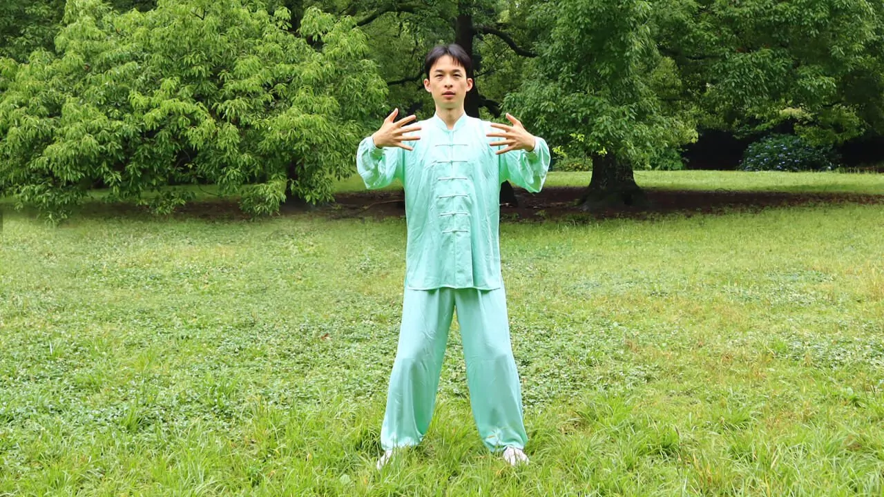 My Lineage - Chinese Yiquan 2 lineage - yiquan zhanzhuang standing meditation song gao stance post standing pile yu yongnian