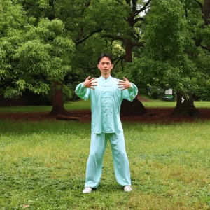Home — Redesign 3 yiquan zhanzhuang cheng bao stance chinese martial art