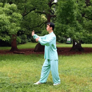 Home — Redesign 4 yiquan zhanzhuang combat stance Chinese martial art standing meditation combat stance