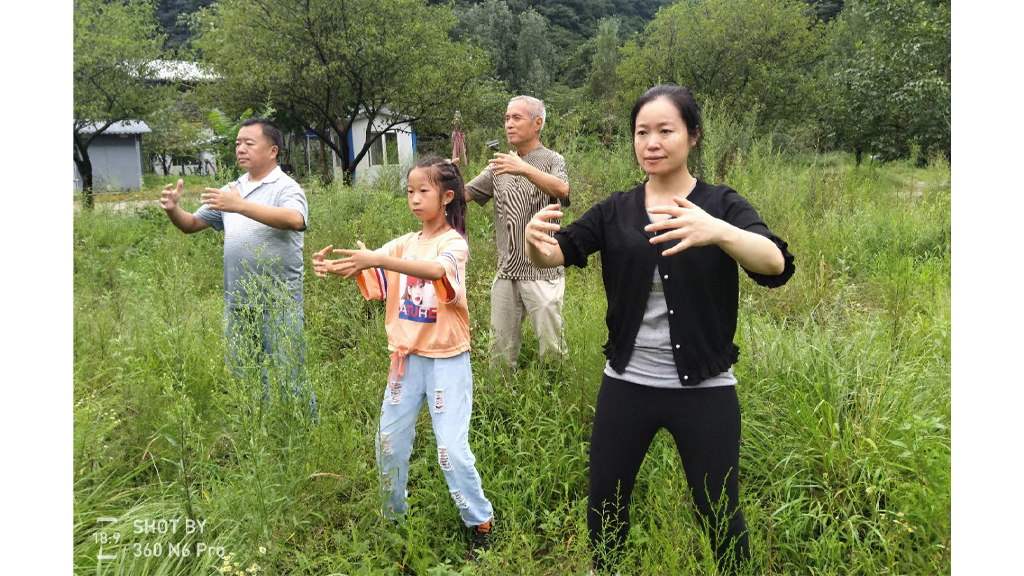 Reactions to Zhanzhuang Exercise 7 yiquan zhanzhuang group student standing practice meditation health exercise