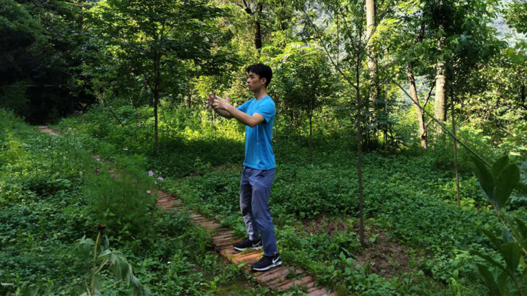 yiquan zhanzhuang health exercise stance standing practice