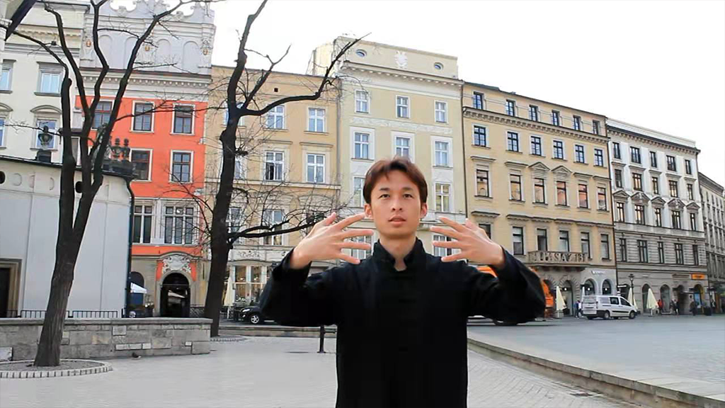 Reactions to Zhanzhuang Exercise 2 yiquan zhanzhuang health stance standing practice health