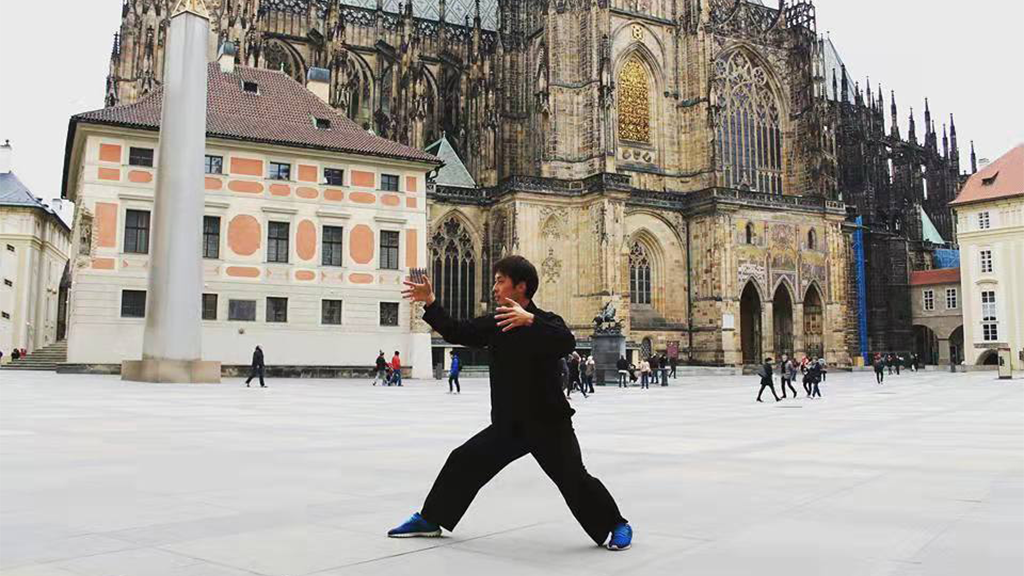 Reactions to Zhanzhuang Exercise 6 yiquan zhanzhuang hooking hangying health stance standing practice health