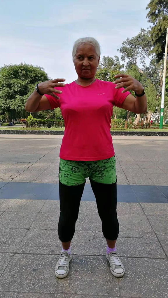 The Four Stages of Zhanzhuang Learning 10 yiquan zhanzhuang peru student dragon stance standing practice health - beginner