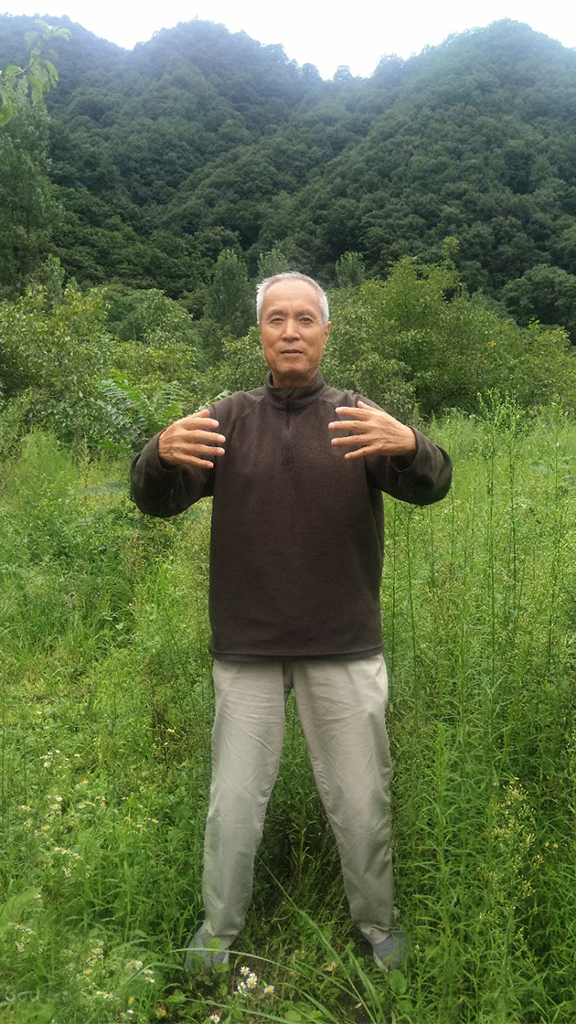 The Four Stages of Zhanzhuang Learning 2 yiquan zhanzhuang senior student cheng bao stance standing practice