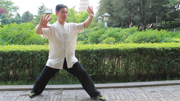 zhanzhuang big sized stance standing practice master demo yiquan