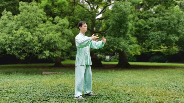 Parallel-step Shili Online Course 2 zhanzhuang cheng bao stance standing meditation exercise son gao demo yiquan force testing friction steps