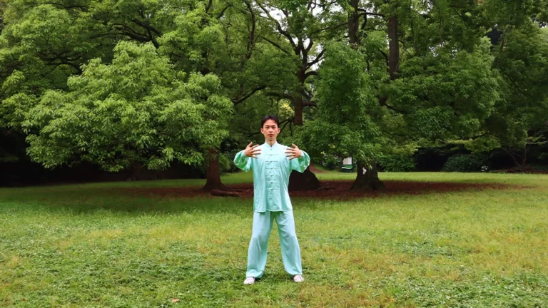 A lesson preview (basic zhanzhuang course) 1 zhanzhuang cheng bao stance standing practice son gao demo yiquan