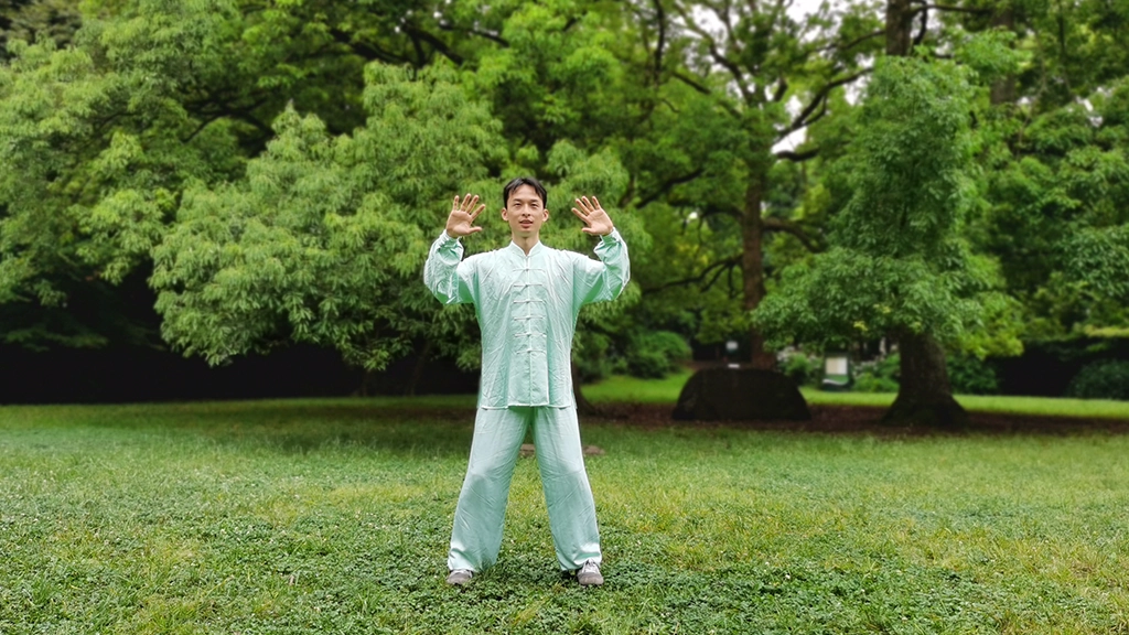 The Four Stages of Zhanzhuang Learning 14 zhanzhuang health stance standing practice son gao demo yiquan