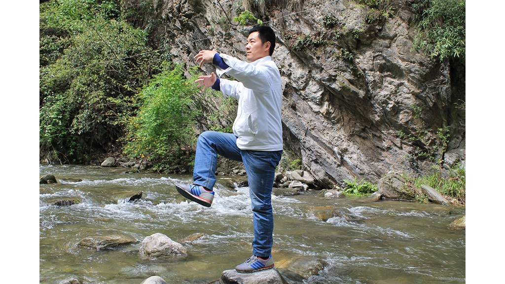 The Four Stages of Zhanzhuang Learning 5 zhanzhuang one legged stance standing practice master demo yiquan