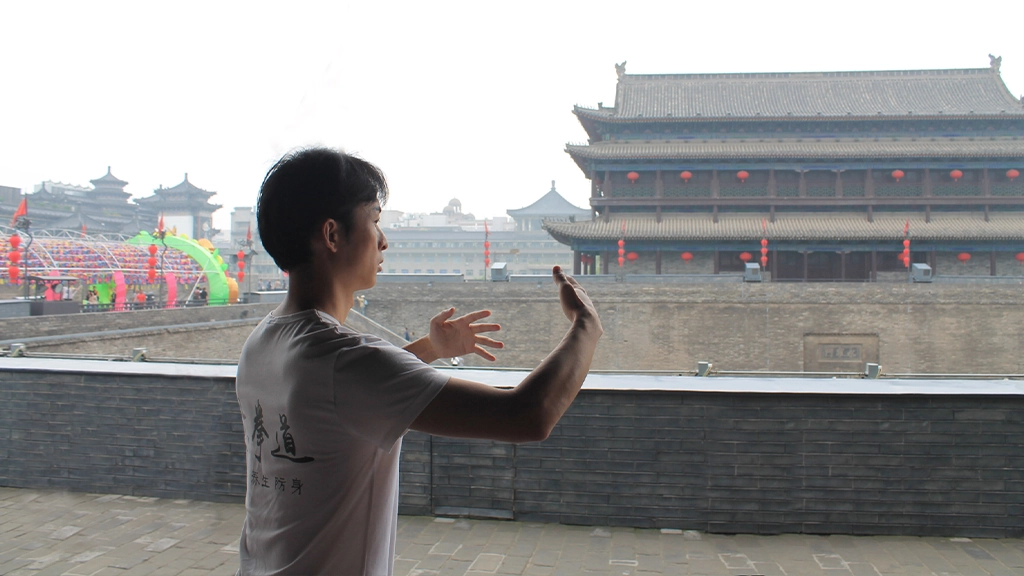 Reactions to Zhanzhuang Exercise 3 zhanzhuang standing pile post cheng bao stance practice meditation health exercise yiquan student travel