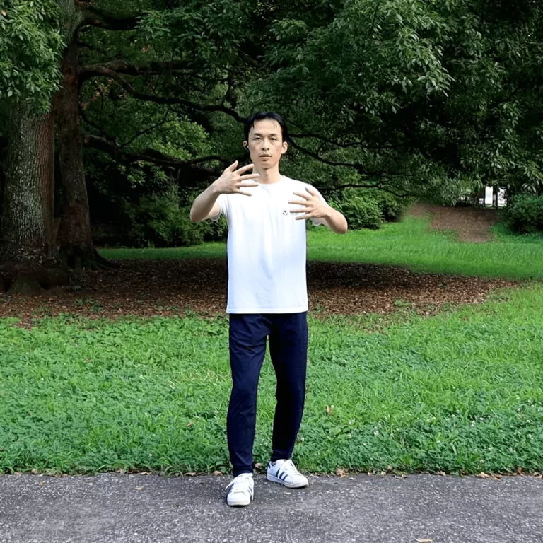 Advanced Zhanzhuang Online Course (Combat-step Stances for Futher Health Improvement) 3 yiquan zhanzhuang standing meditation combat stance improve health