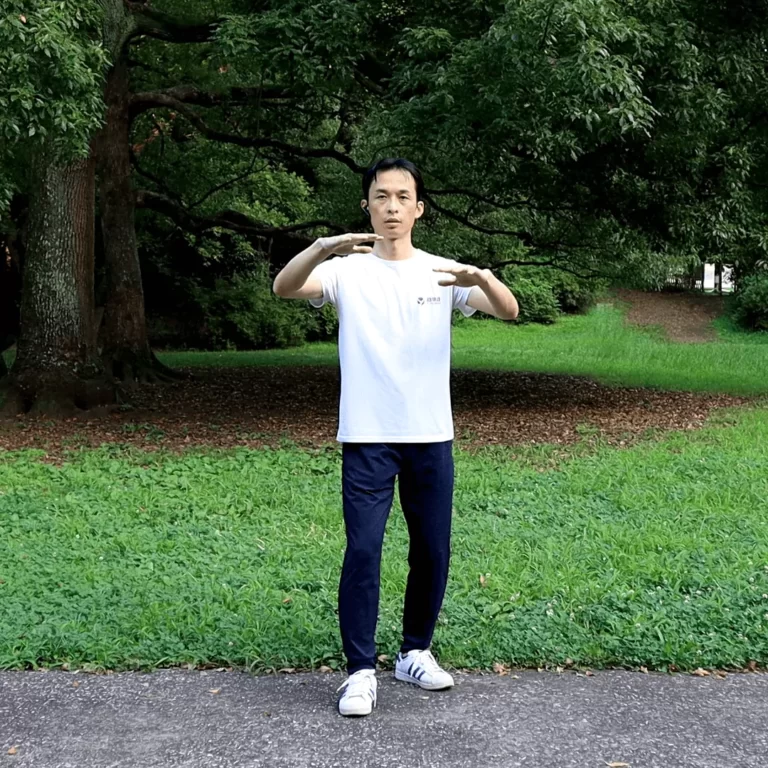 Advanced Zhanzhuang Online Course (Combat-step Stances for Futher Health Improvement) 7 yiquan zhanzhuang standing meditation combat stance health improvement flat embracing