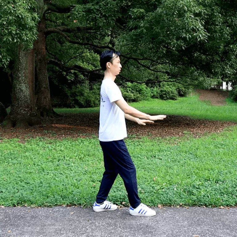 Advanced Zhanzhuang Online Course (Combat-step Stances for Futher Health Improvement) 4 yiquan zhanzhuang standing meditation combat stance health improvement holding pressing
