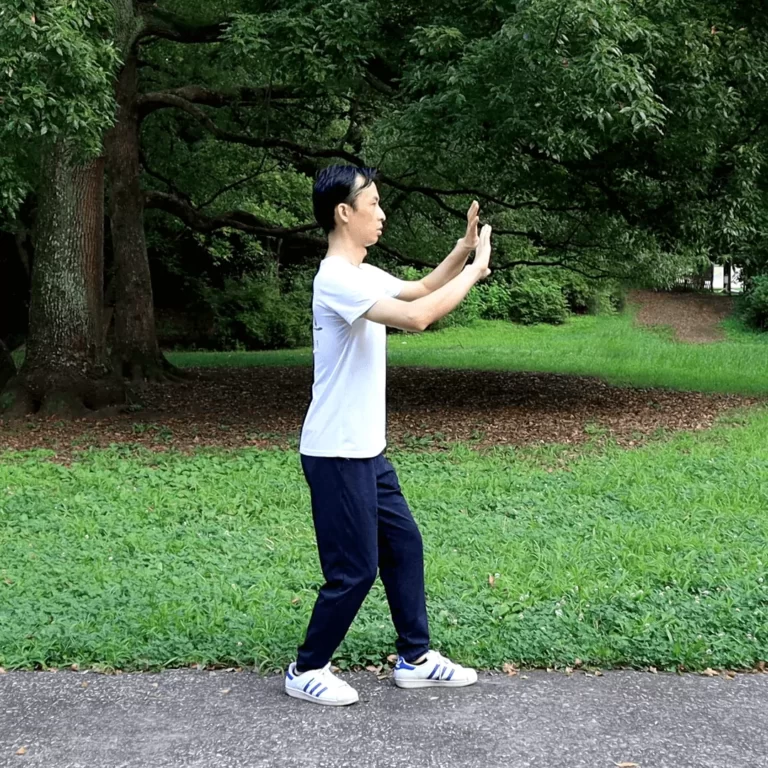 Advanced Zhanzhuang Online Course (Combat-step Stances for Futher Health Improvement) 6 yiquan zhanzhuang standing meditation combat stance health improvement holding pushing