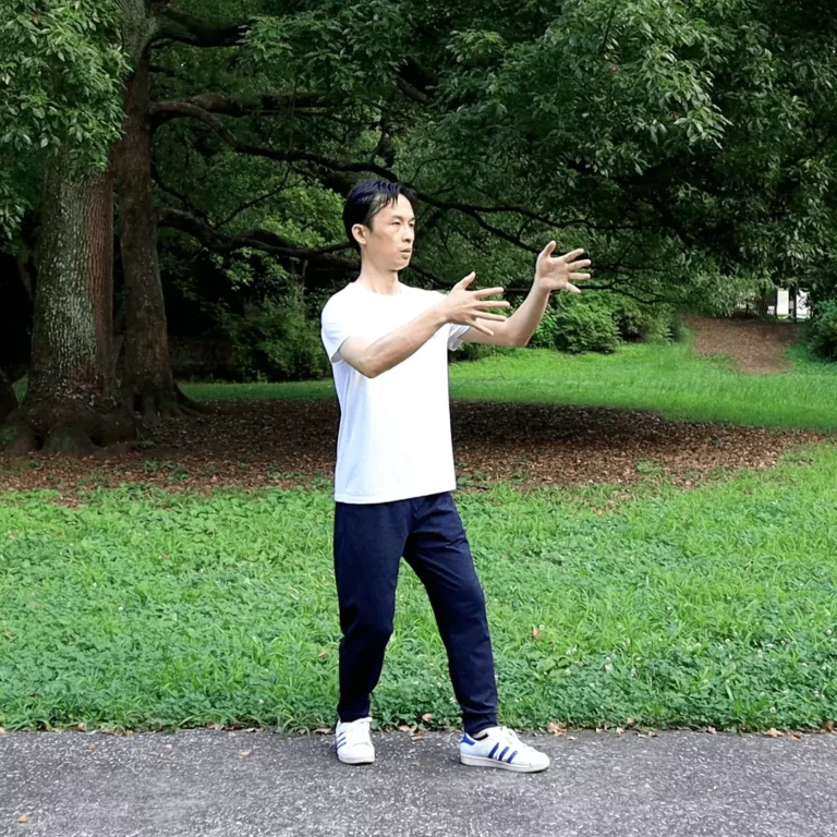 Advanced Zhanzhuang Online Course (Combat-step Stances for Futher Health Improvement) 8 yiquan zhanzhuang standing meditation combat stance health improvement hooking hanging