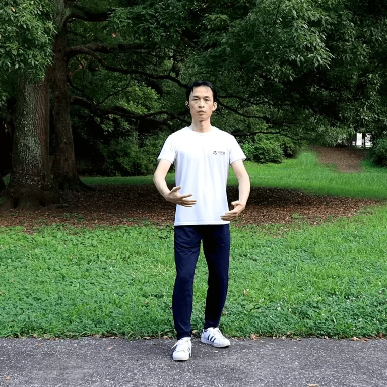 Advanced Zhanzhuang Online Course (Combat-step Stances for Futher Health Improvement) 9 yiquan zhanzhuang standing meditation combat stance health improvement lifting holding benefits advanced