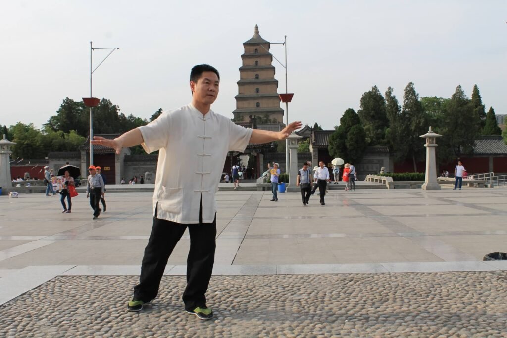 yiquan mocabu zhangyongmou (1)