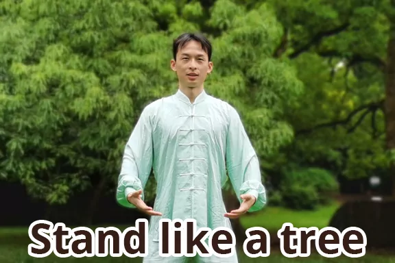 yiquan zhanzhuang standing meditation song gao stance post standing pile