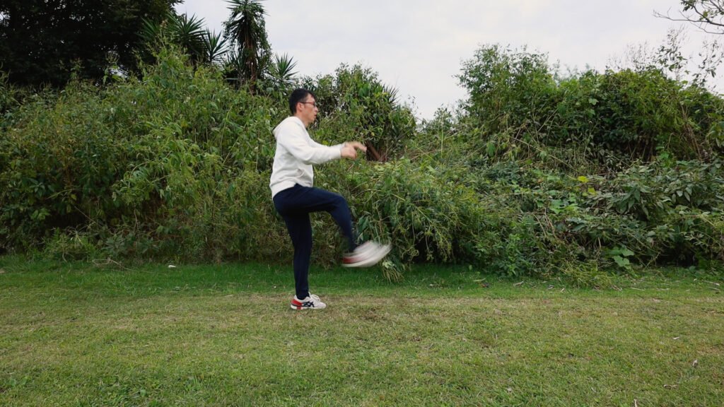 yiquan zhanzhuang song gao