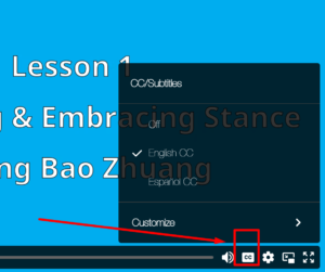 cc 打开字幕