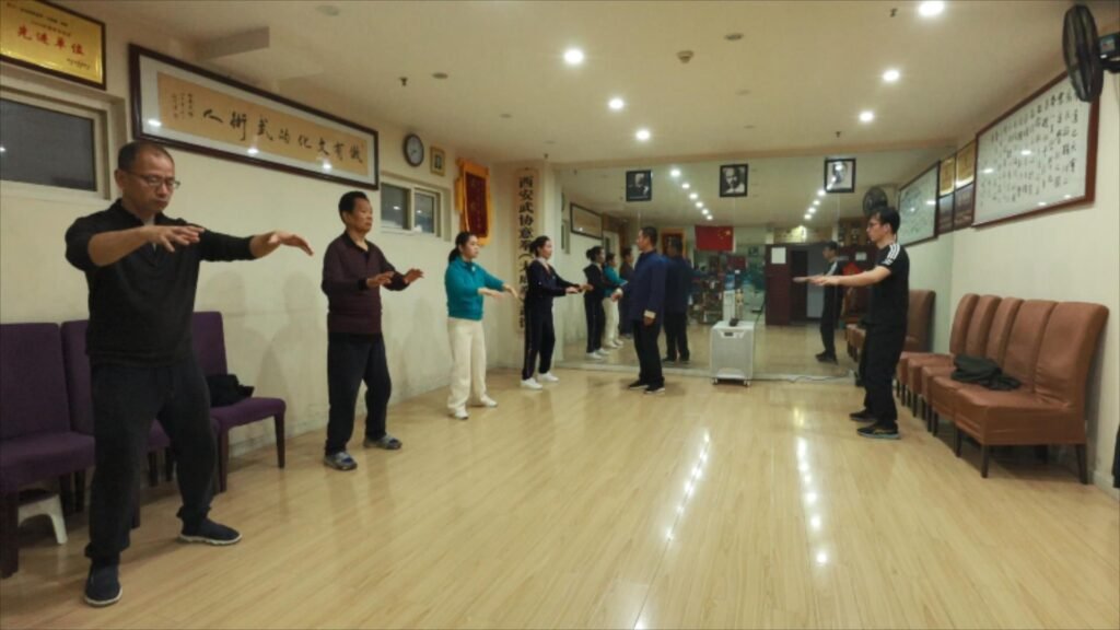regular shili 封面
