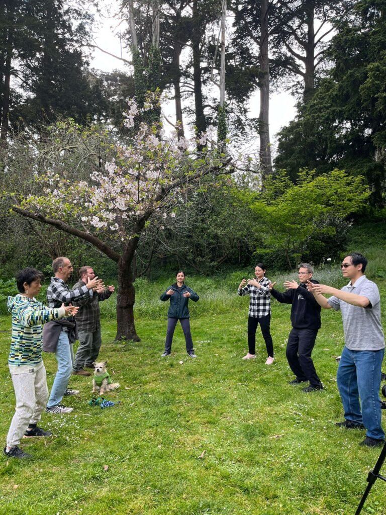 Photos from Zhanzhuang & Yiquan classes San Francisco 29 yiquan Zhanzhuang classes in San Francisco