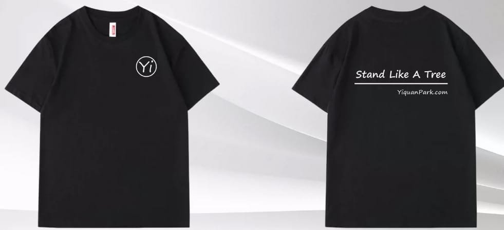 2025 Yiquan Teaching Tour (Finished) 1 Tshirt 2025