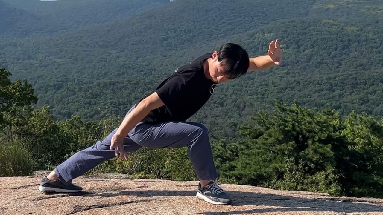 Zhanzhuang 3: Special Stances