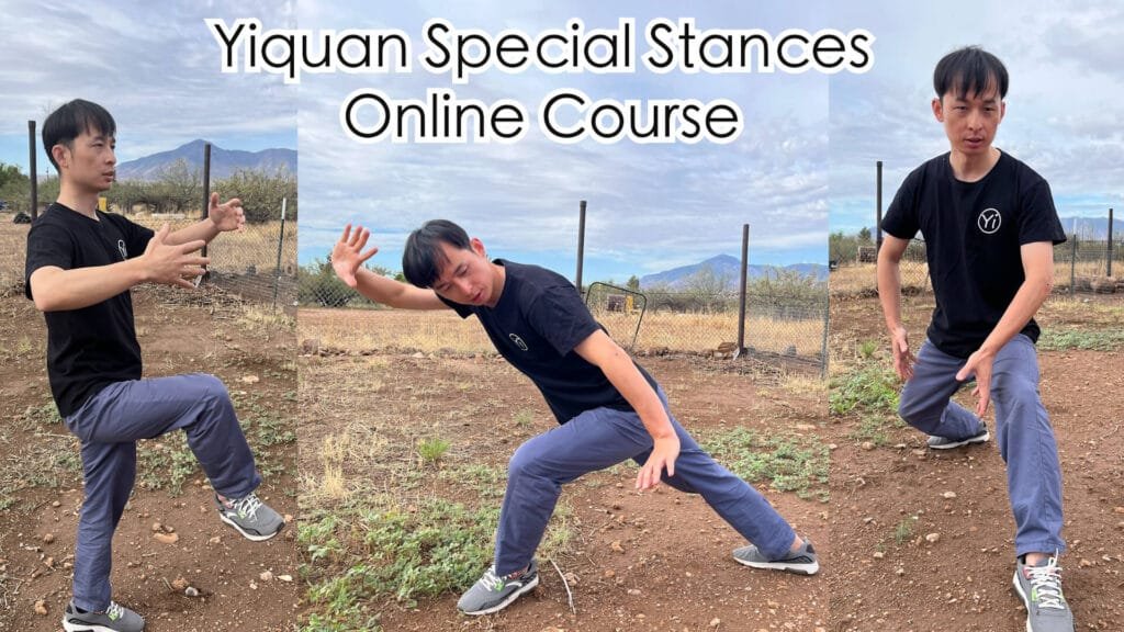 A lesson preview (basic Mocabu course) 4 yiquan zhanzhuang The Tiger Stance, the Dragon Stance, and the One-legged Stance