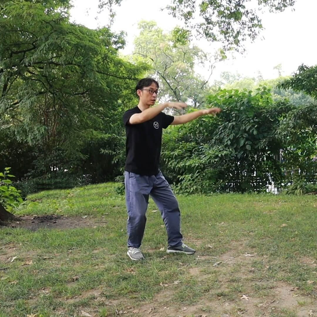 Yiquan 3:  Combat Shili with Mocabu