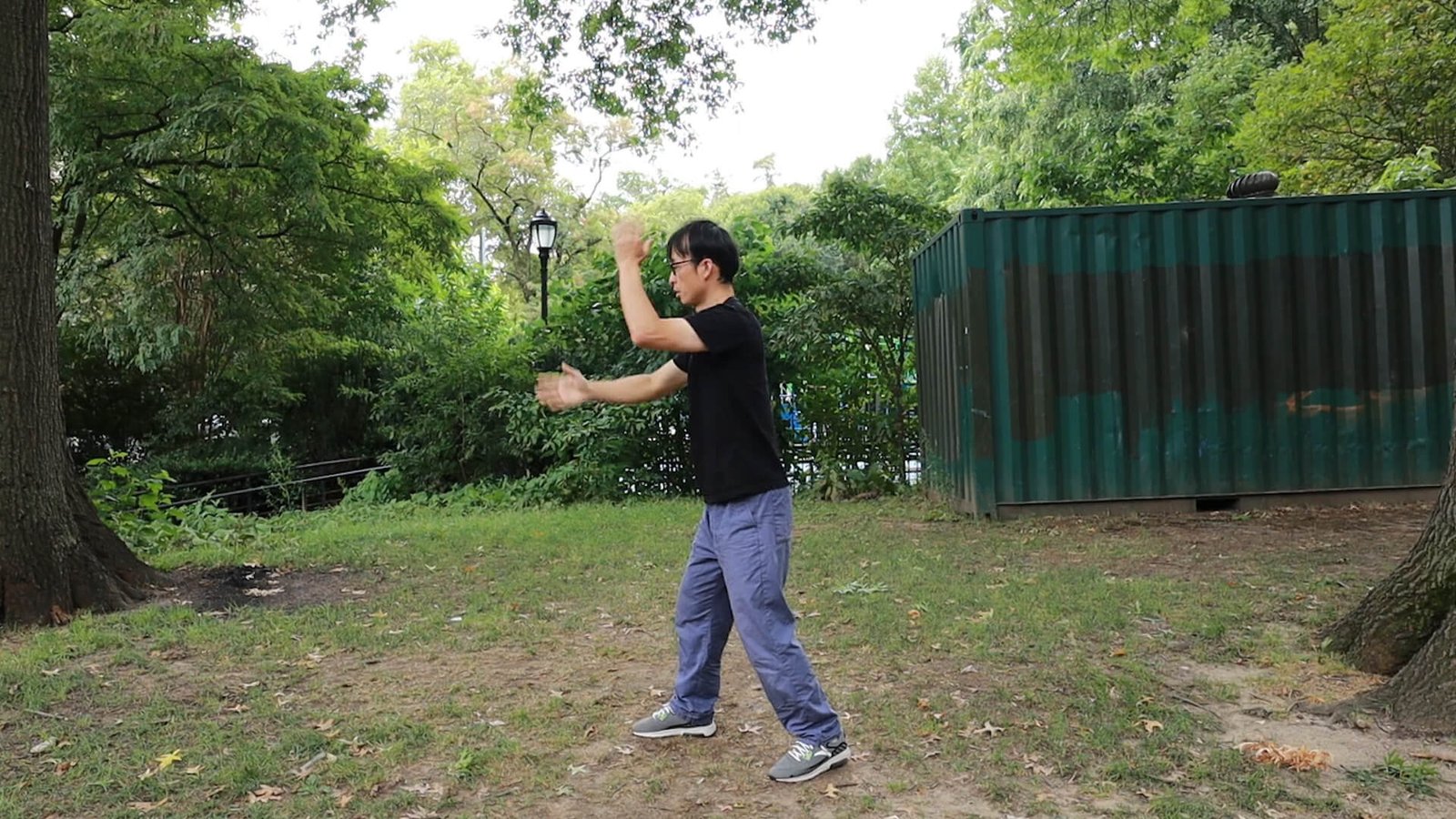 Yiquan 4:  Basic Fali/Fajin (Force Releasing)