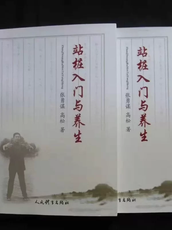 yiquan zhanzhuang standing meditation song gao stance post standing pile
